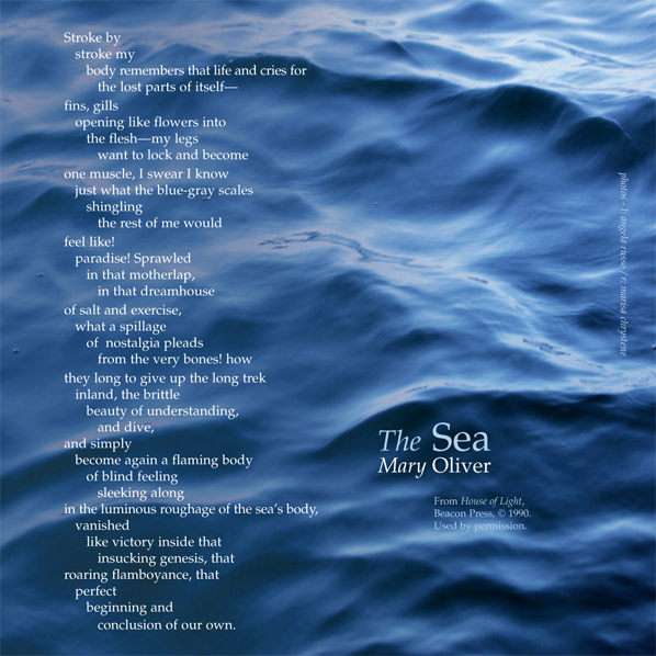 The Sea by Mary Oliver, poem superimposed over photo of ocean by angela russo
