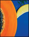 Papaya III, Pam Hudson