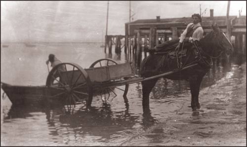 photo by George Elmer Browne